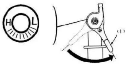 H L (1)