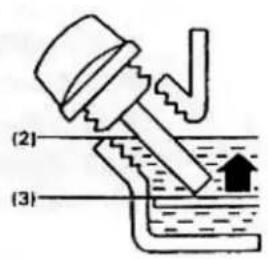 (2) (3)