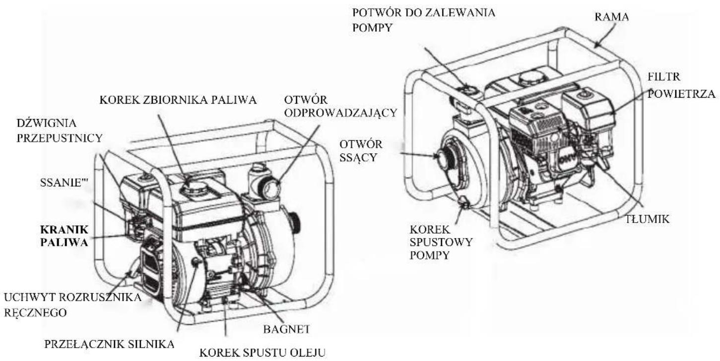 POTWÓR DO ZALEWANIA POMPY RAMA FILTR POWIETRZA KOREK ZBIORNIKA PALIWA OTWÓR ODPROWADZAJĄCY OTWÓR SSĄCY DŻWIGNIA PRZEPUSTNICY SSANIE" KRANIK PALIWA UCIWYT ROZRUSZNIKA REÇZNEGO PRZEŁĄCZNIK SILNIKA BAGNET KOREK SPUSTU OLEJU KOREK SPUSTOWY POMPY TŁUMIK