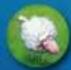 Granna Superfarmer Big Box - Przebieg gry - 11