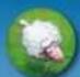 Granna Superfarmer Big Box - Przebieg gry - 7