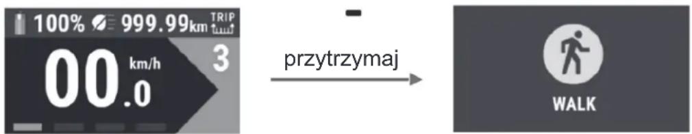 100% 999.99km TRIP 00 km/h 3 przytrzymaj WALK