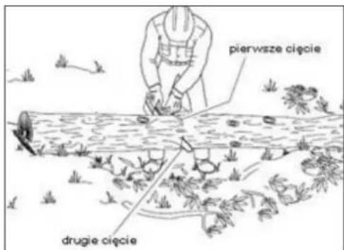 pierwsze cięcie drugie cięcie