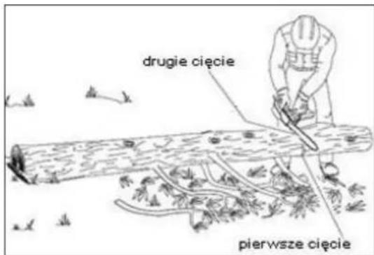 drugie cięcie pierwsze cięcie