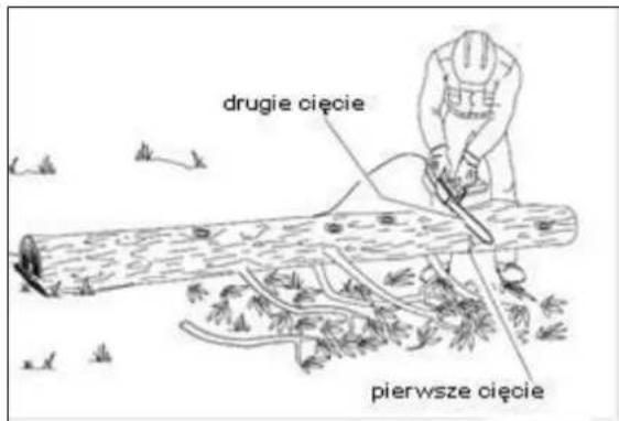 drugie cięcie pierwsze cięcie