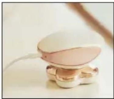 Garett Beauty Shine - GEGARETT - 1