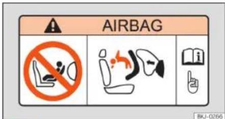 AIRBAG BKJ-0256