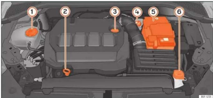SEAT Leon ST (2022) - Sprawdzanie poziomów - 1