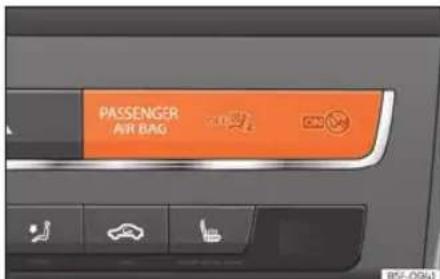 PASSENGER AIR BAG