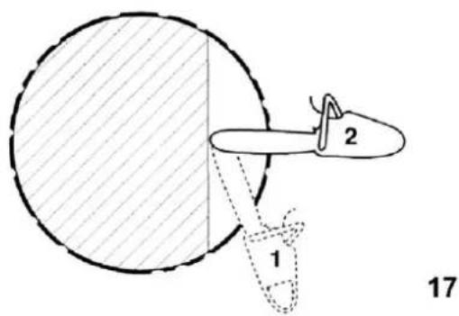 1 2 17