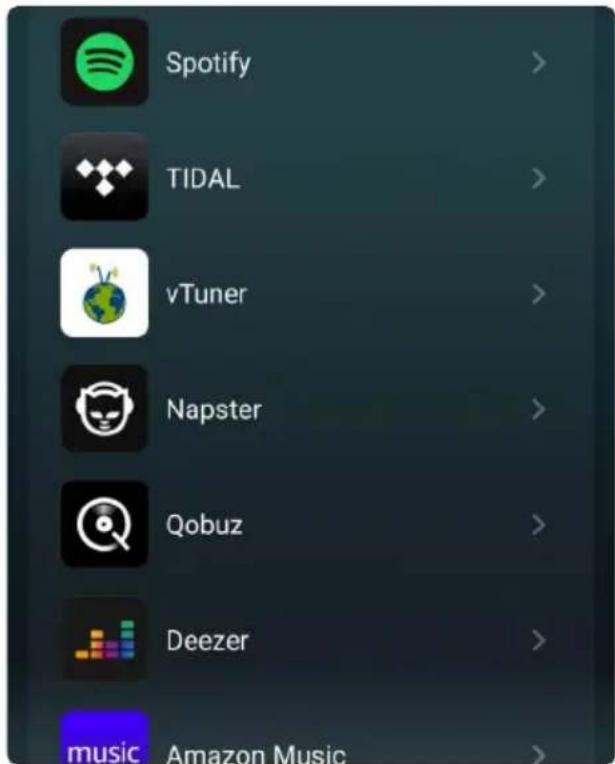 Spotify TIDAL vTuner Napster Qobuz Deezer music Amazon Music