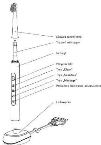 Główka szczoteczki Trzpień wibrujący Uchwyt Przycisk I/O Tryb „Clean“ Tryb „Sensitive“ Tryb „Massage“ Wskaźnik ładowania akumulatora Ladowarka