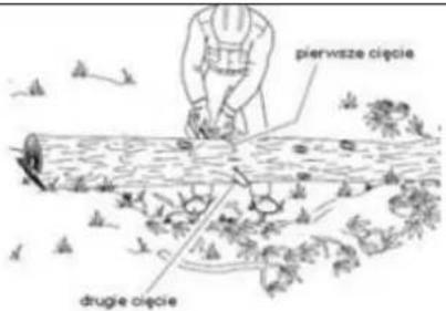 pierwsze cięcie drugie cięcie