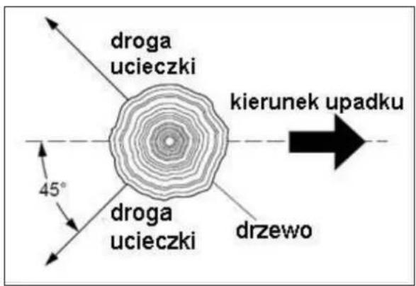 droga ucieczki kierunek upadku 45° droga ucieczki drzewo