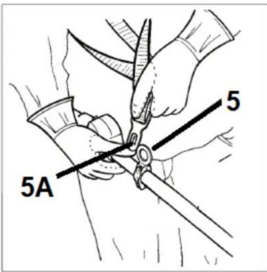 5 5A