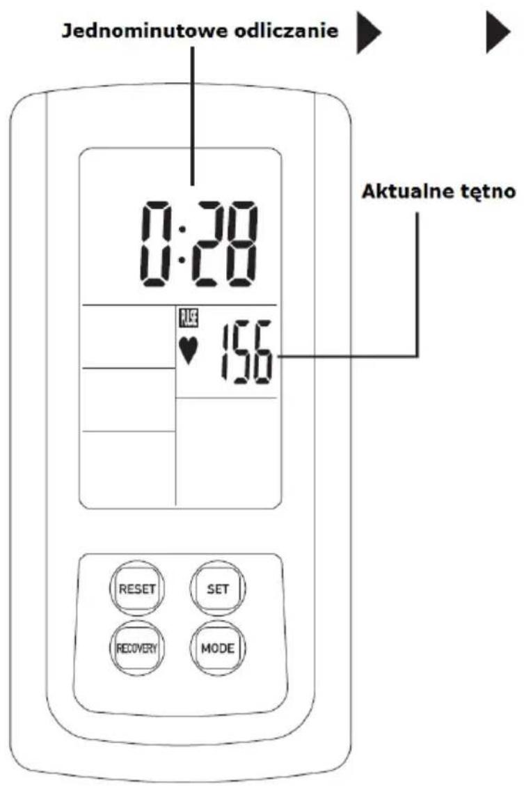 Jednominutowe odliczanie 0:28 156 Aktualne tętno RESET SET RECOVERY MODE