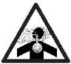 Handy WZ60BS - Symbole dotyczące urządzenia - 8