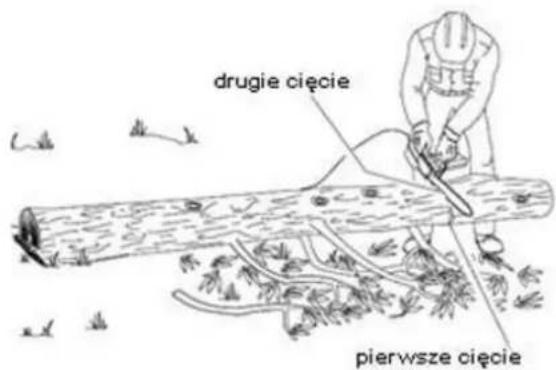 drugie cięcie pierwsze cięcie