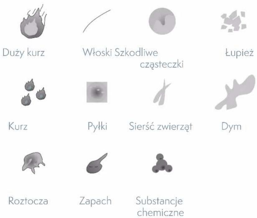 Duży kurz Włoski Szkodliwe częsteczki Łupież Kurz Pyłki Sierść zwierząt Dym Roztocza Zapach Substancje chemiczne