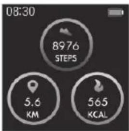 08:30 8976 STEPS 5.6 KM 565 KCAL