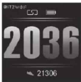 BITZWOF 2036 21306