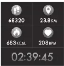 68320 23.8 KM 683 KCAL 208 BPM 02:39:45