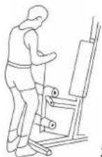 Hertz Fitness Maximus Atlas - INSTRUKCJE ĆWICZEŃ - 3