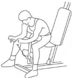 Hertz Fitness Maximus Atlas - INSTRUKCJE ĆWICZEŃ - 5
