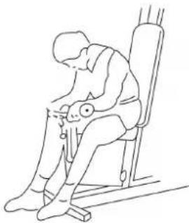 Hertz Fitness Maximus Atlas - INSTRUKCJE ĆWICZEŃ - 6