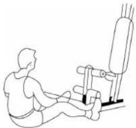 Hertz Fitness Maximus Atlas - INSTRUKCJE ĆWICZEŃ - 1