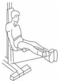 Hertz Fitness Maximus Atlas - INSTRUKCJE ĆWICZEŃ - 8