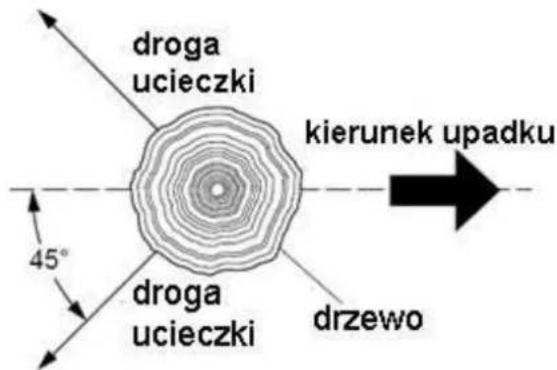 droga ucieczki kierunek upadku 45° droga ucieczki drzewo