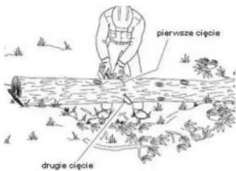pierwsze cięcie drugie cięcie