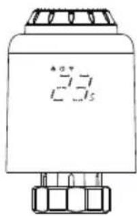 Avatto TRV07 - ◆ Spersonalizowany kod QR - 4