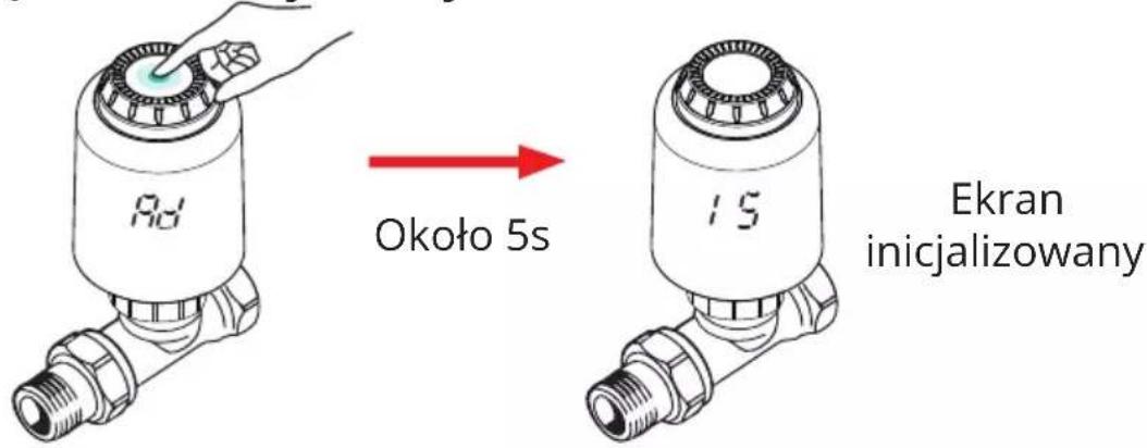 9d Około 5s 15 Ekran inicjalizowany