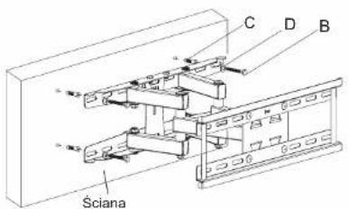 C D B Sciana