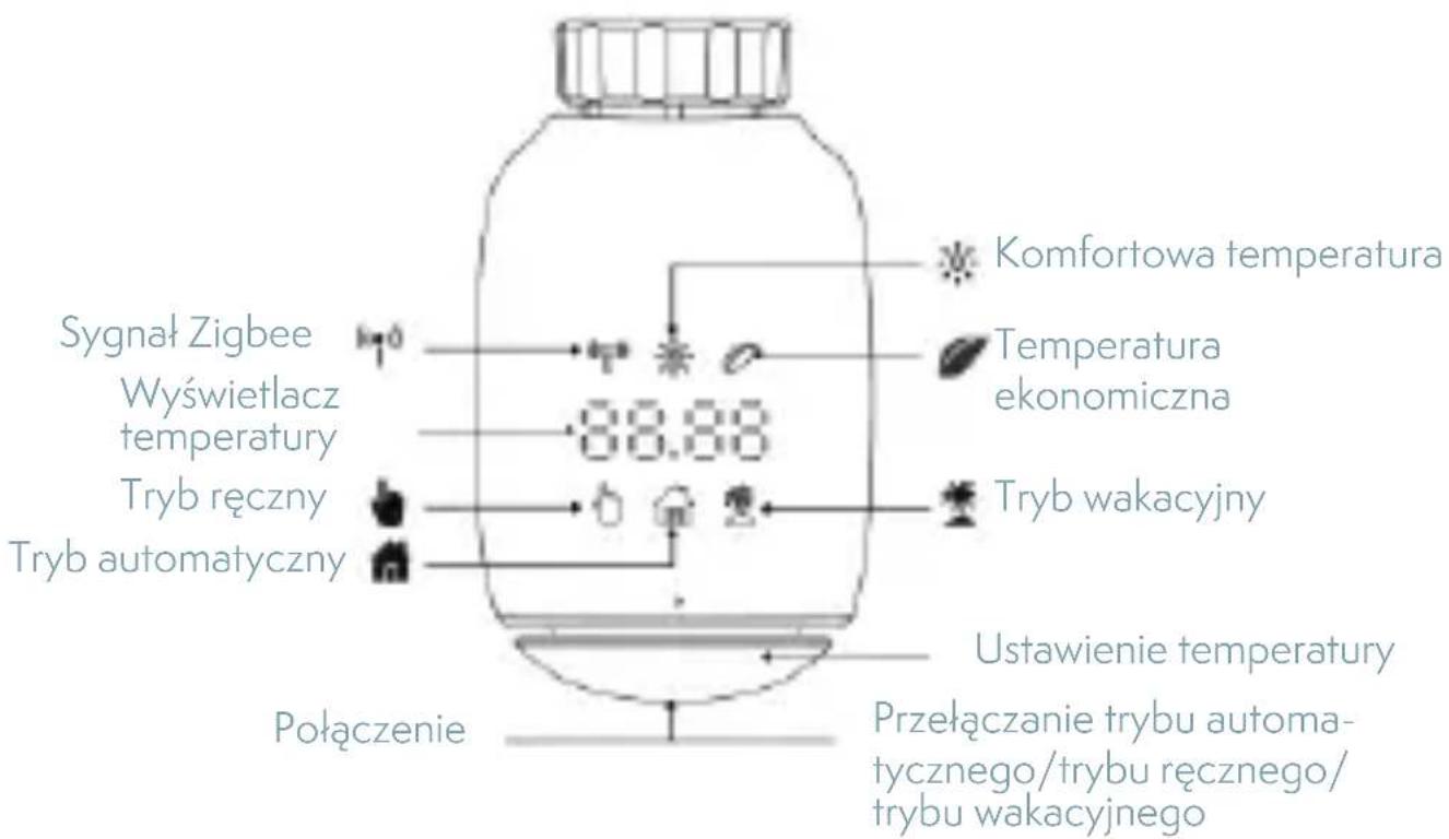 Sygnał Zigbee Wyświetlacz temperatury Tryb ręczny Tryb automatyczny Komfortowa temperatura Temperatura ekonomiczna Tryb wakacyjny Ustawienie temperatury Przełączanie trybu automa- tycznego/trybu ręcznego/ trybu wakacyjnego Połączenie