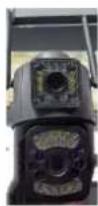 BLOW H-335 - BLOW - 25