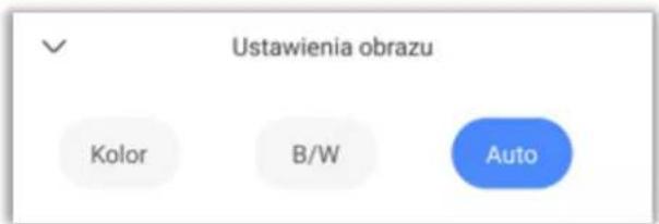 Ustawienia obrazu Kolor B/W Auto