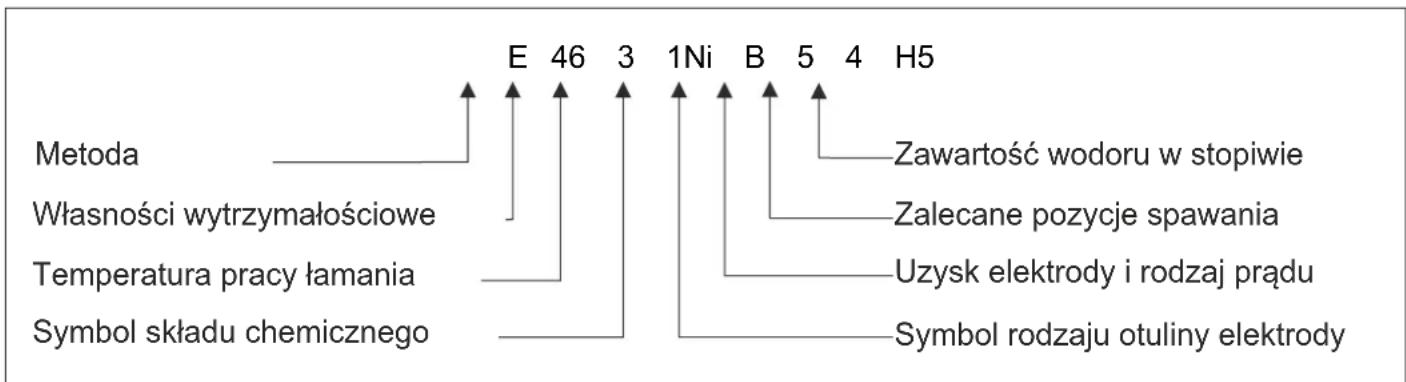 DEDRA DESa195 - Elektrody - 1