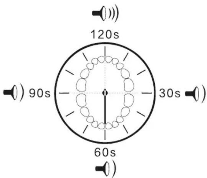 Usmile P1 - Procedura szczotkowtnia - 2
