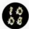 XCOAST QIN XC Pro 45 mm - Eigenes W.. - 8