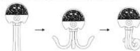 InnoGIO GIOstar Octopus - Instrukcja obsługi - 4