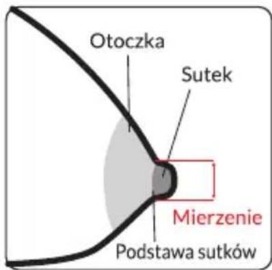 Otoczka Sutek Mierzenie Podstawa sutków