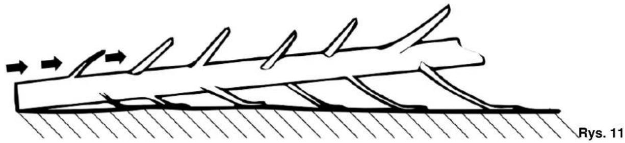 4Garden AP10 - PL - 1