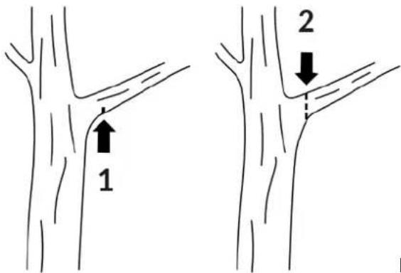 1 2