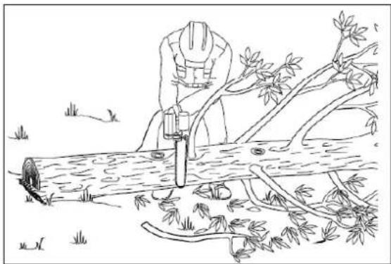 4Garden APW2522 - Ścinanie gałęzi (okrzesywanie) - 2