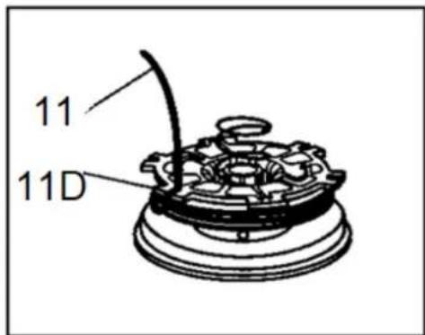 11 11D