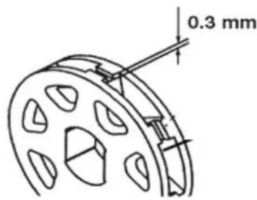 0.3 mm