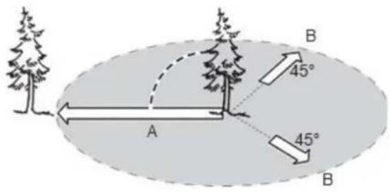 A B 45° 45° B